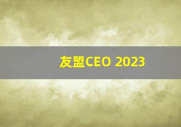 友盟CEO 2023